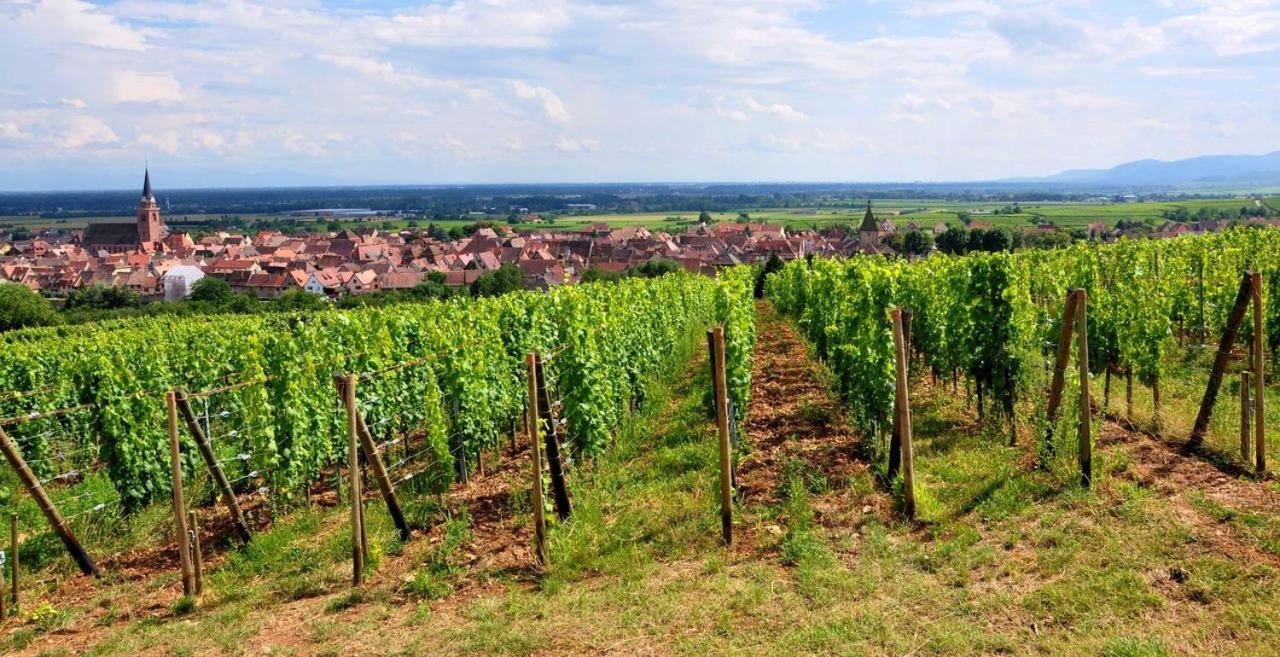 Hotel Et Spa Du Scharrach Scharrachbergheim-Irmstett Екстер'єр фото